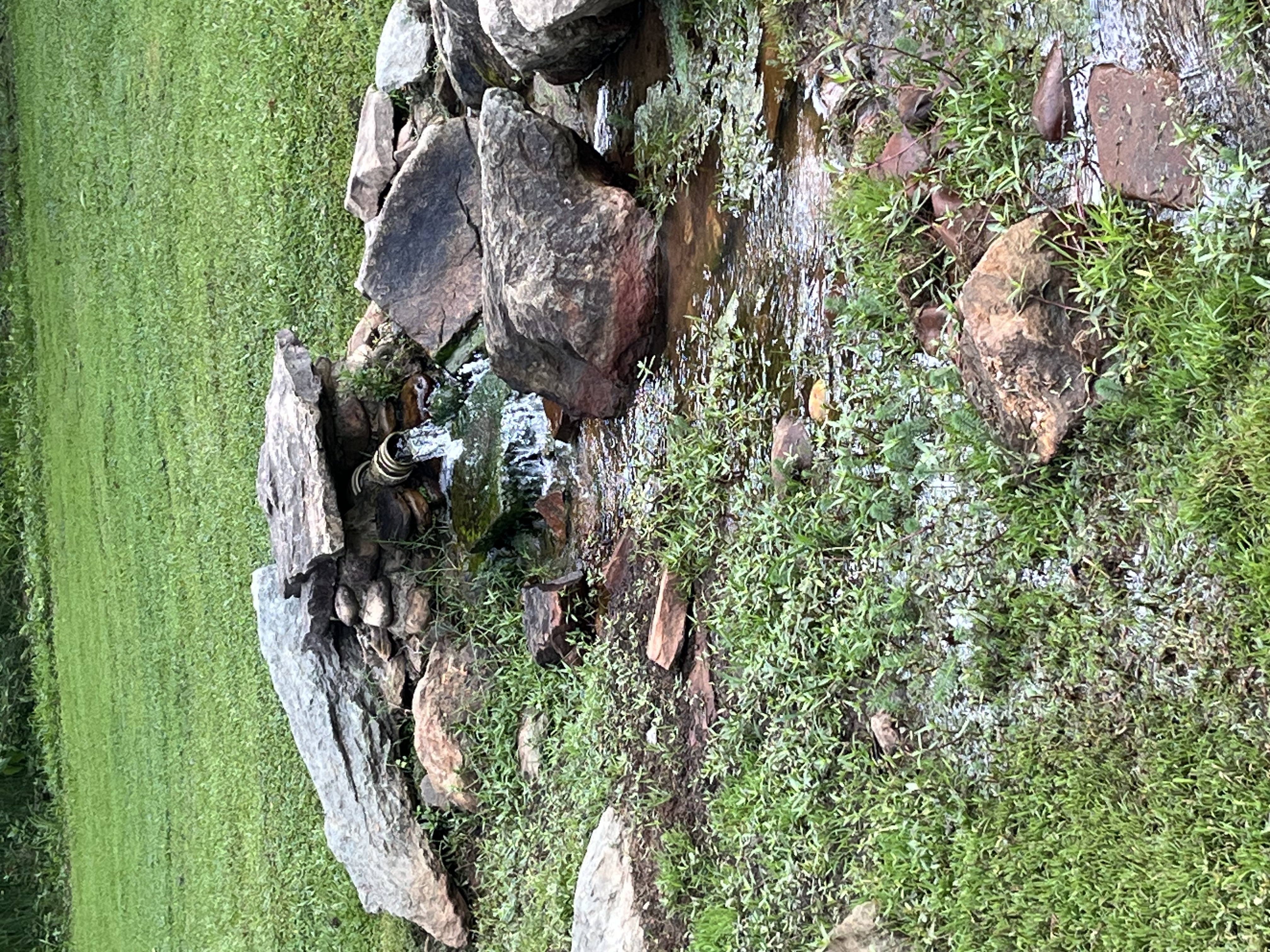 An image of an open grassy area with water flowing from a pipe and many stones surrounding the pipe