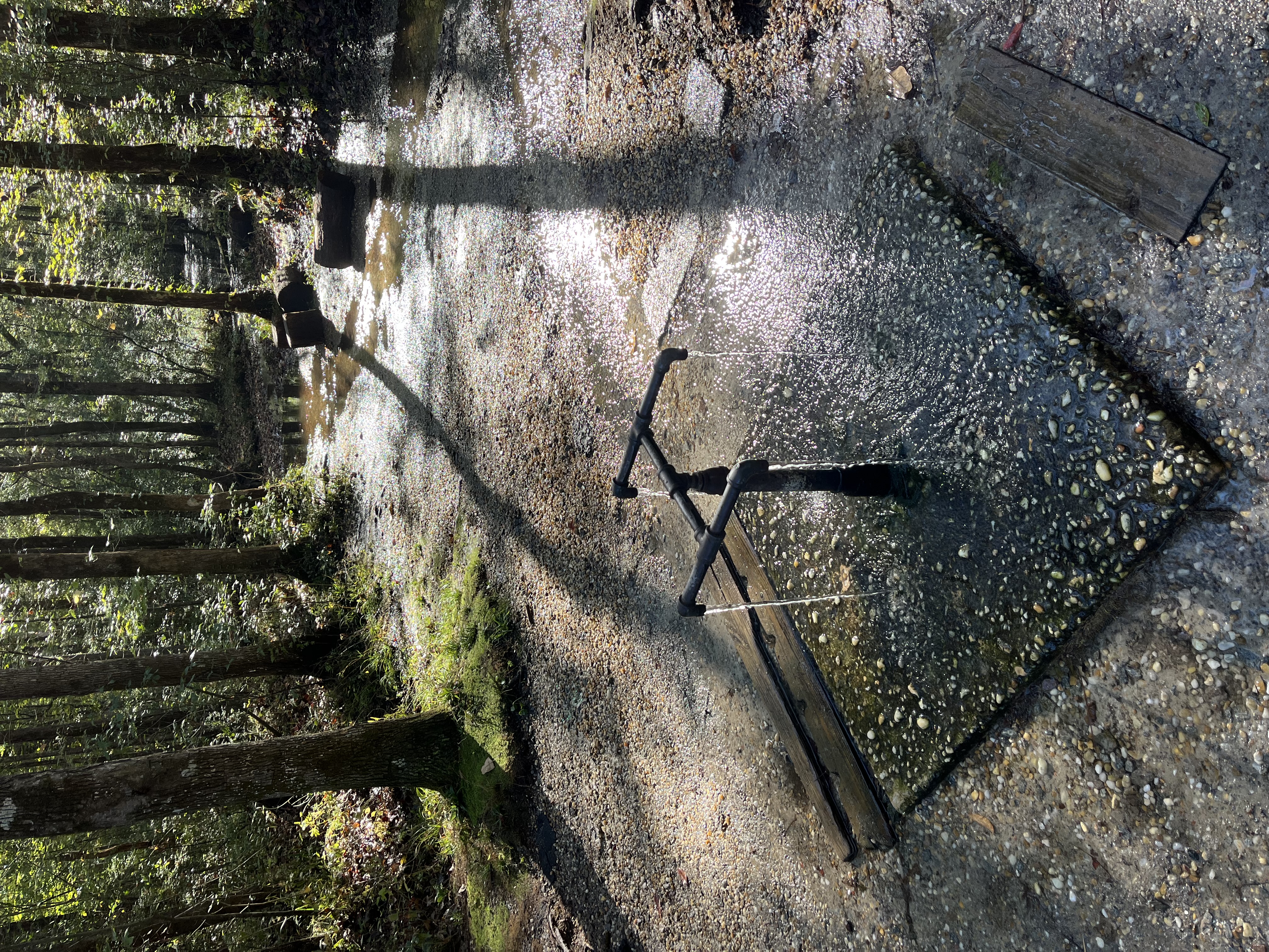 Metal pipes at Healing Springs in Blackville, South Carolina shows water flowing out onto a concrete pad with trees behind