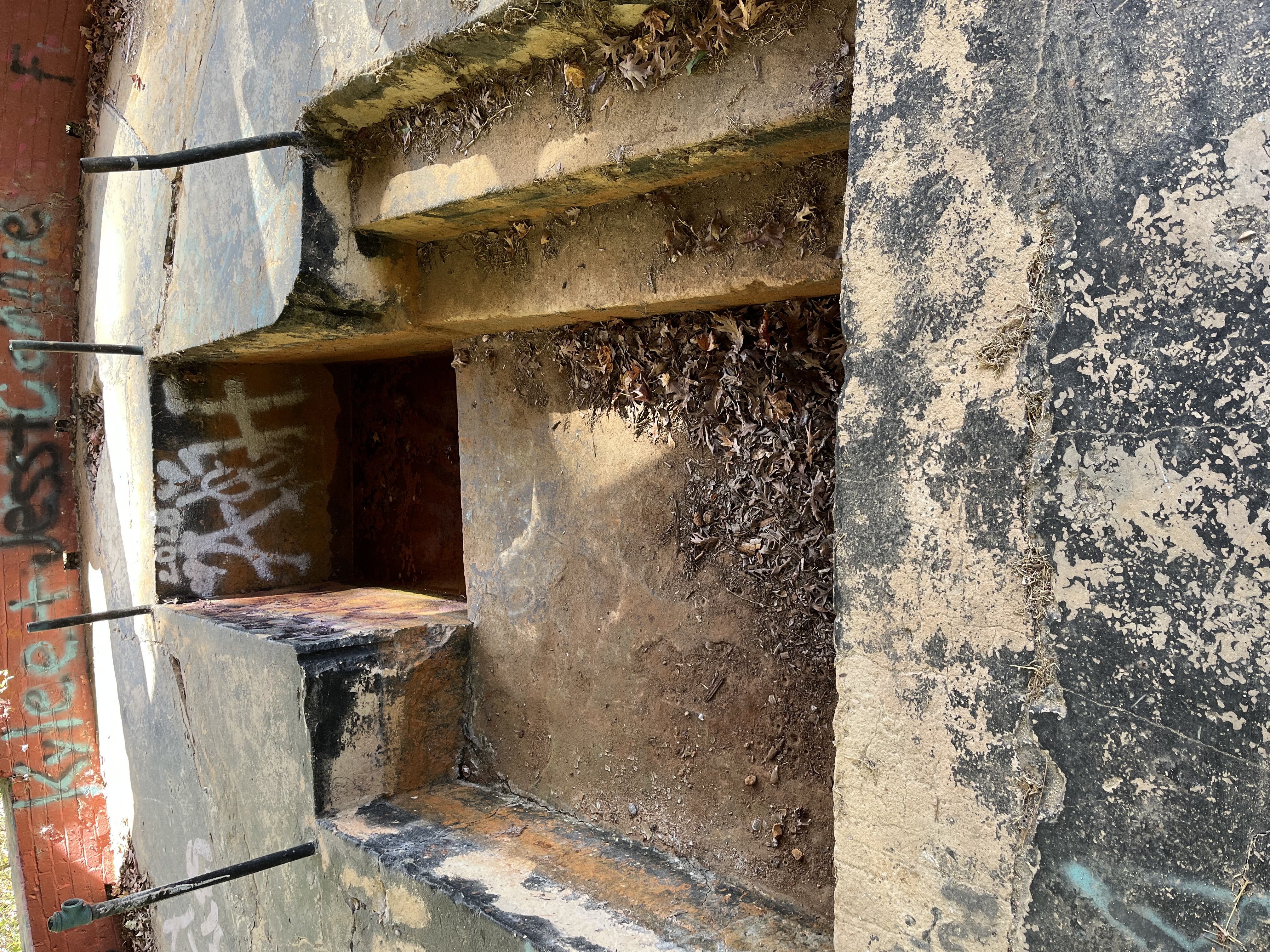 An image of a low depression under a park shelter with a square area that filled with water and orange bacteria at the bottom