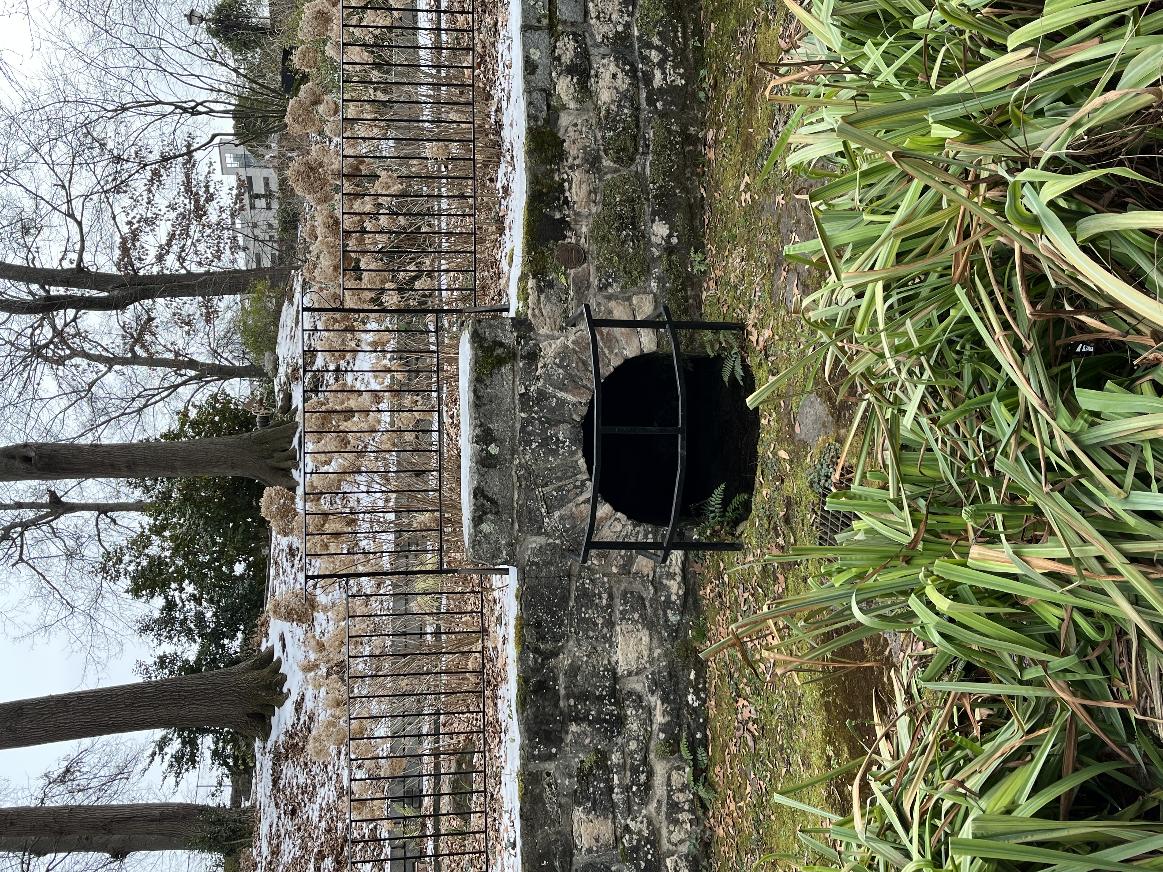 A frontal view of Waddy-Thompson spring with plants in the foreground and a wrought iron fence around the springhead that sits within a stone wall