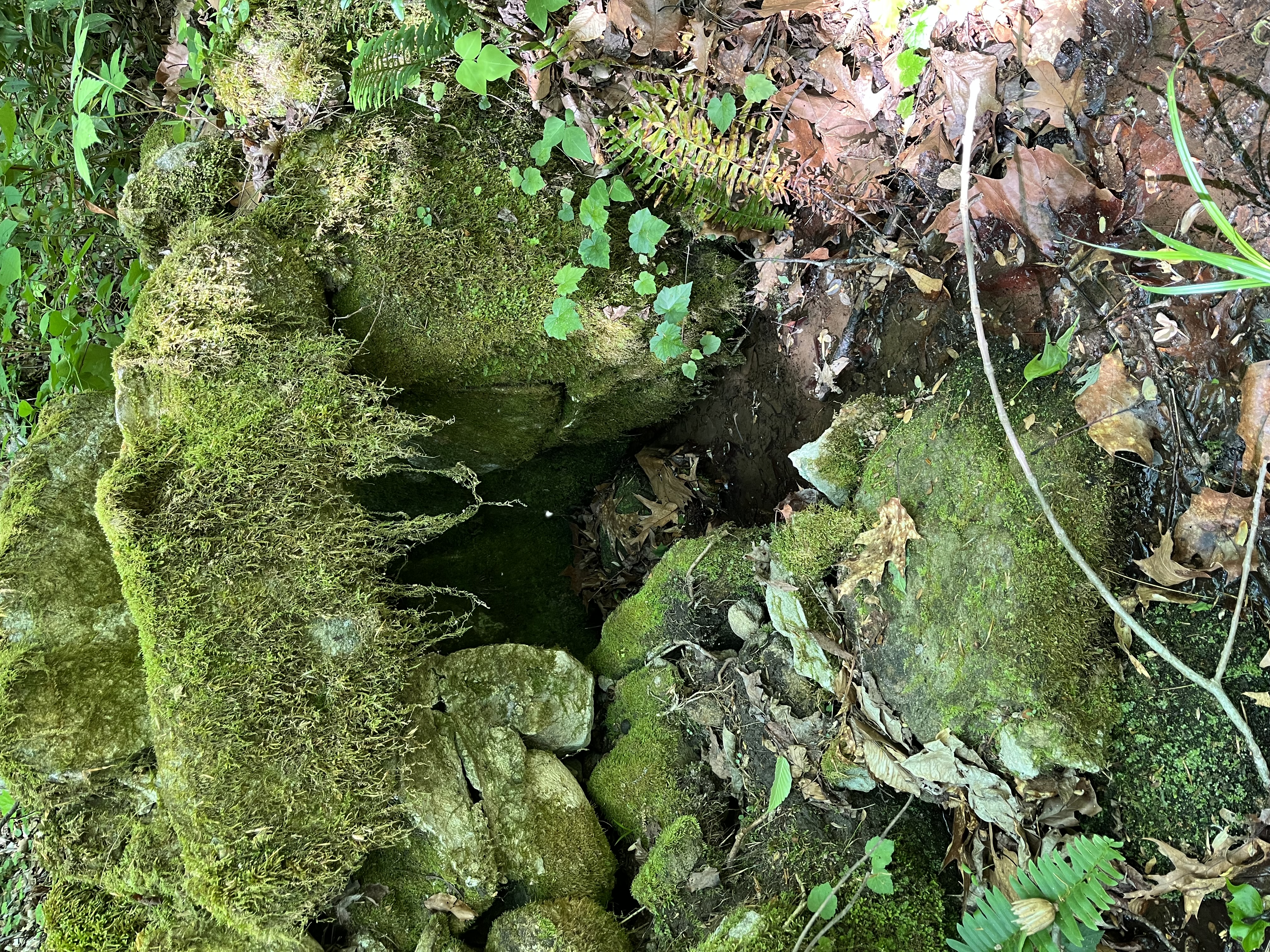 Stone structure and springhead