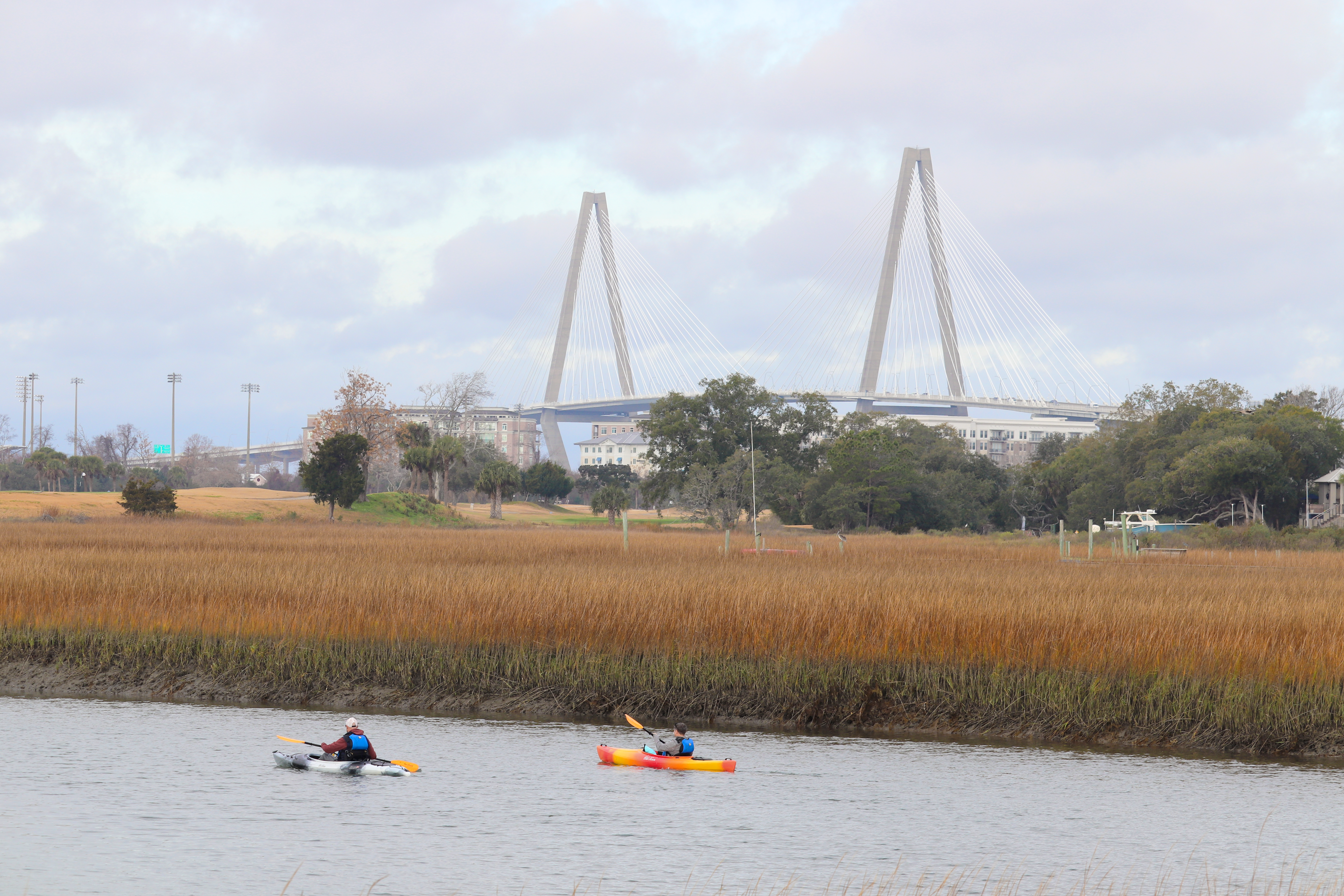 A wide marshland scene with tall golden-brown grasses in the foreground and two people kayaking on a calm waterway. In the background, a large cable-stayed bridge with two tall support towers rises above trees and nearby buildings under a cloudy sky.