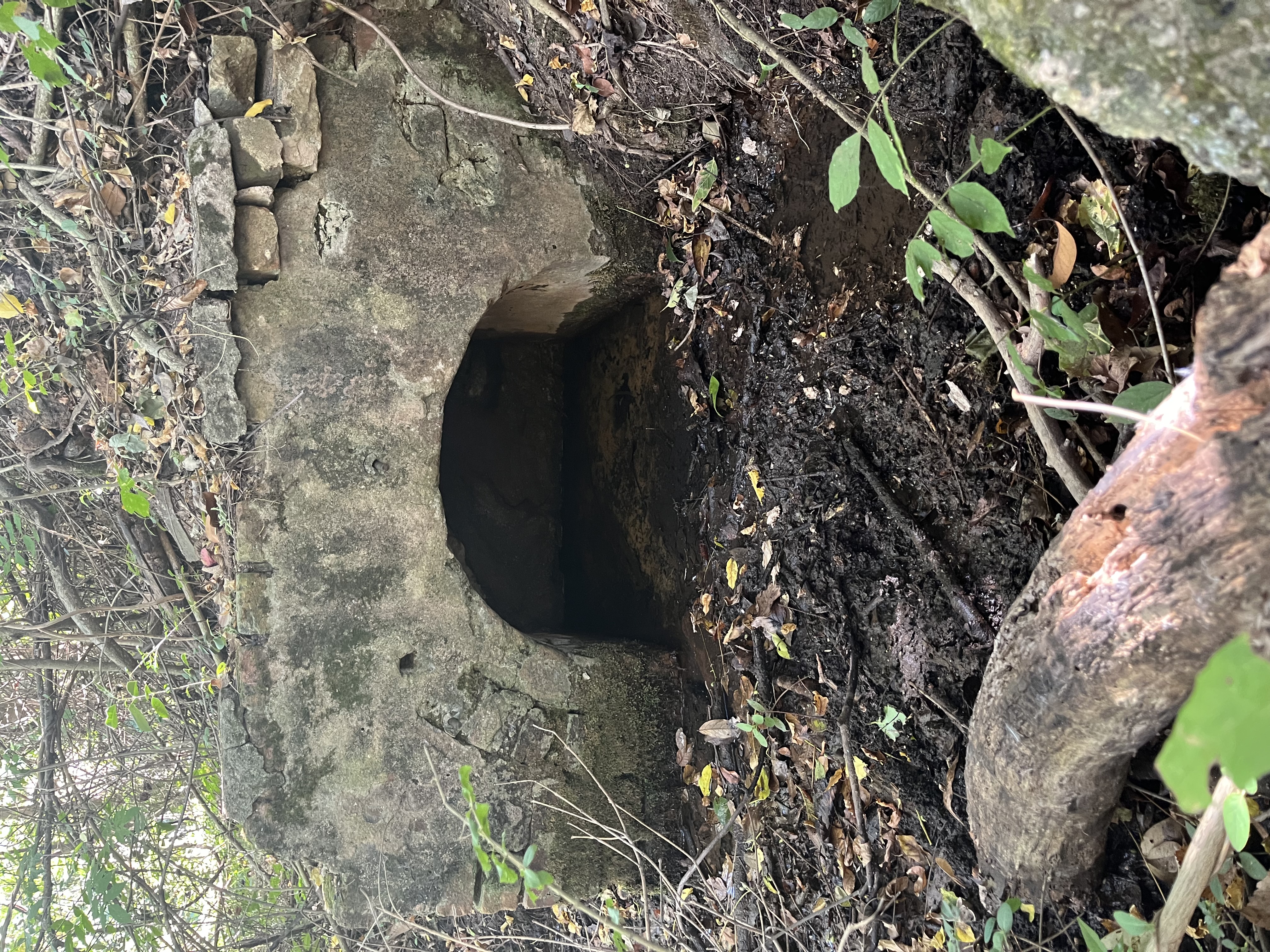 An image showing a half buried cement structure that originally housed Hudgen's Spring with lots of leaves, branches, and soil nearby