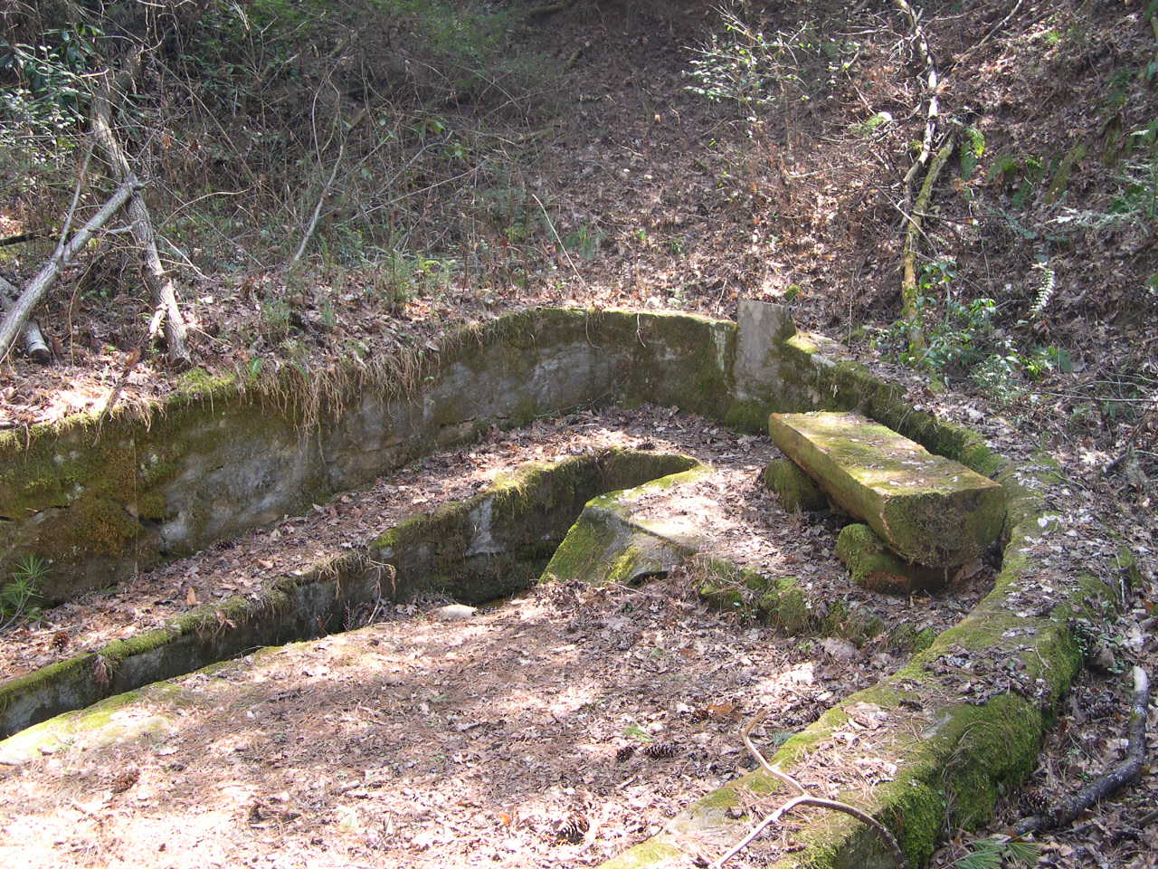 An image of a rounded concrete structure with stones covered in many leaves where the springhead flows from a hill