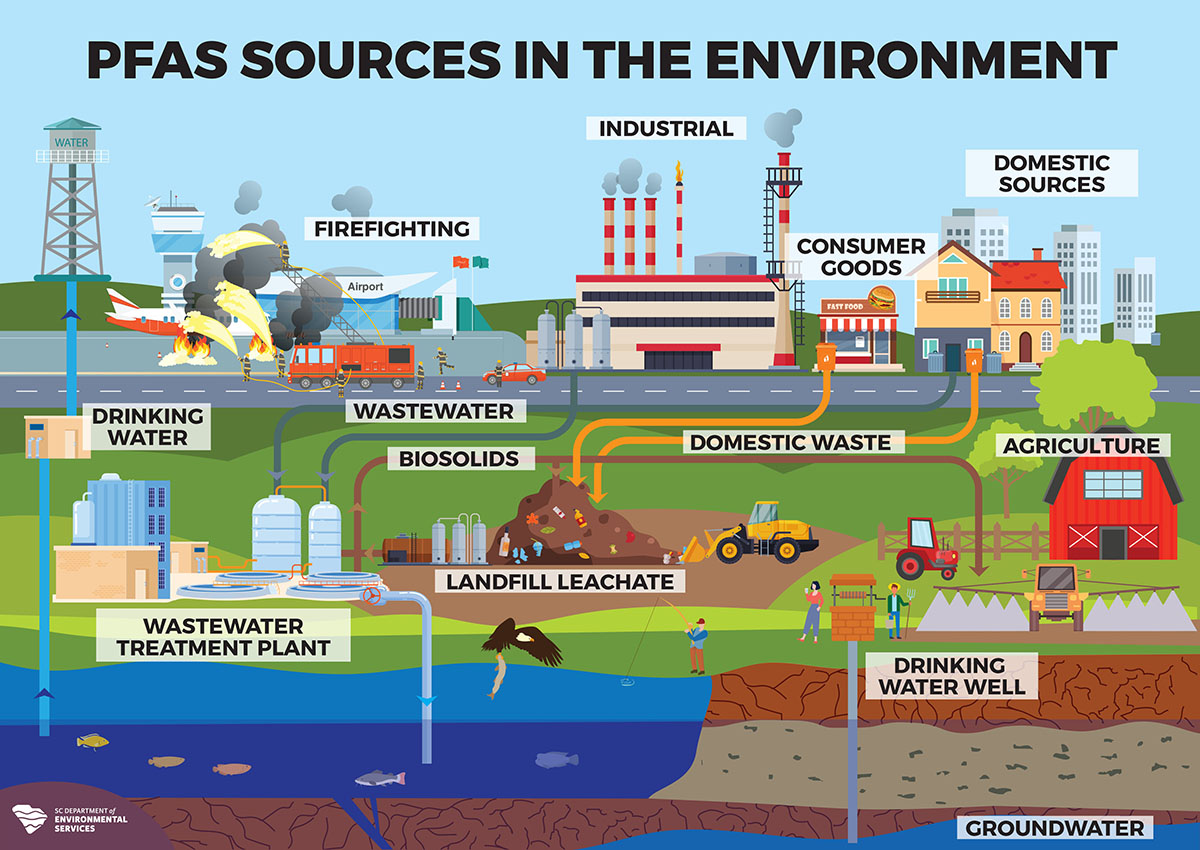 This infographic illustrates sources of PFAS in the environment. It includes labeled areas like firefighting, industrial sites, consumer goods, domestic sources, wastewater, biosolids, landfill leachate, domestic waste, agriculture, wastewater treatment plants, groundwater, drinking water, and a drinking water well. An airplane sprays chemicals depicting firefighting, and various structures such as factories, homes, and farms represent different PFAS sources.