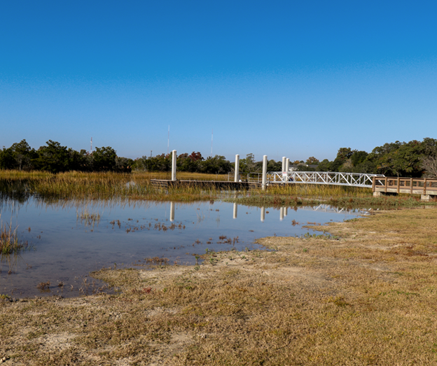 A serene landscape featuring a reflective marsh, a wooden walkway, and sparse vegetation under a clear blue sky.