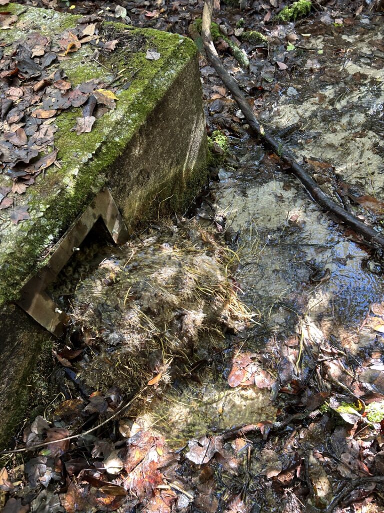 An image of a concrete structure with a square opening where water flows into a shallow creek with many orange leaves nearby