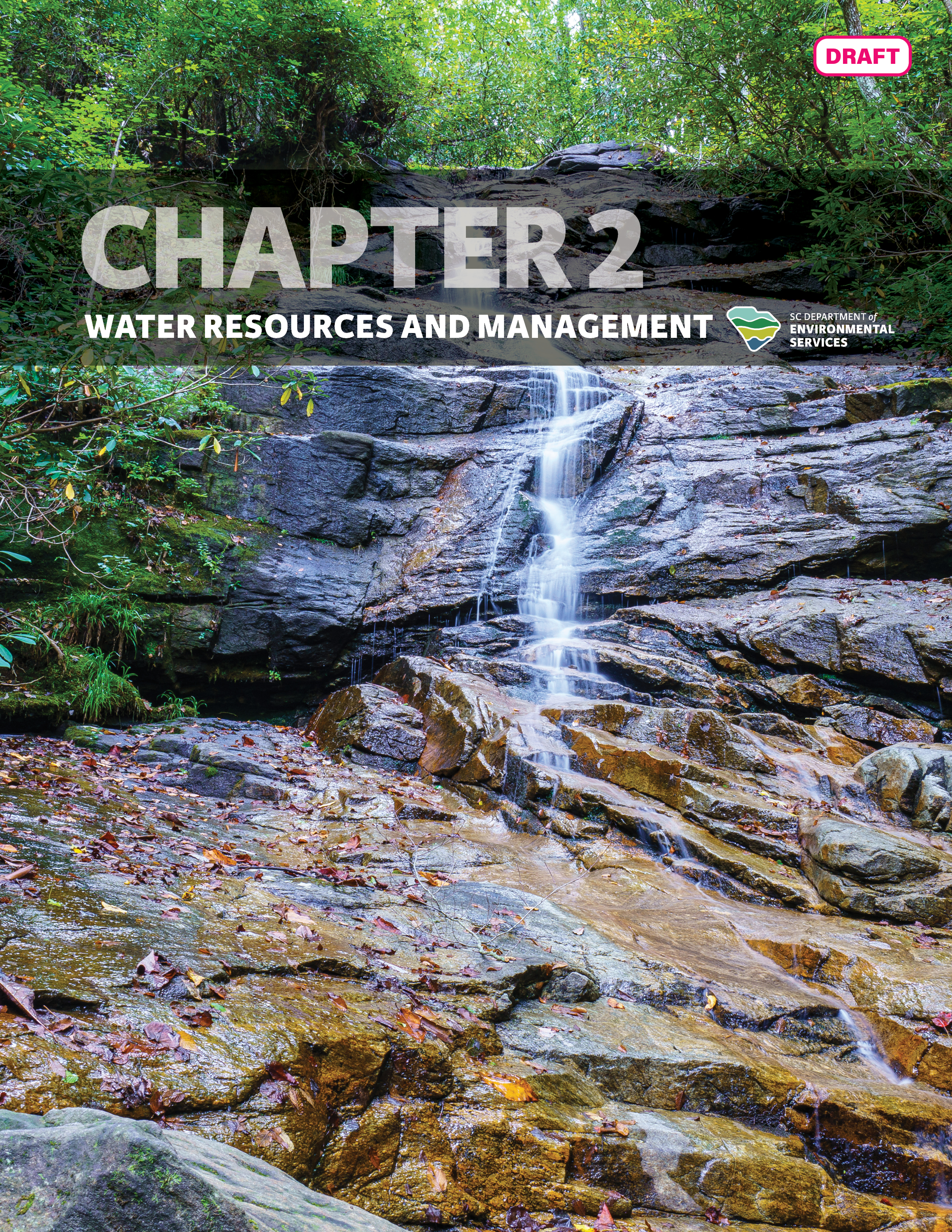 Draft cover of 'Chapter 2: Water Resources and Management' of the State Water Plan featuring a small waterfall flowing over rocky terrain surrounded by lush greenery.