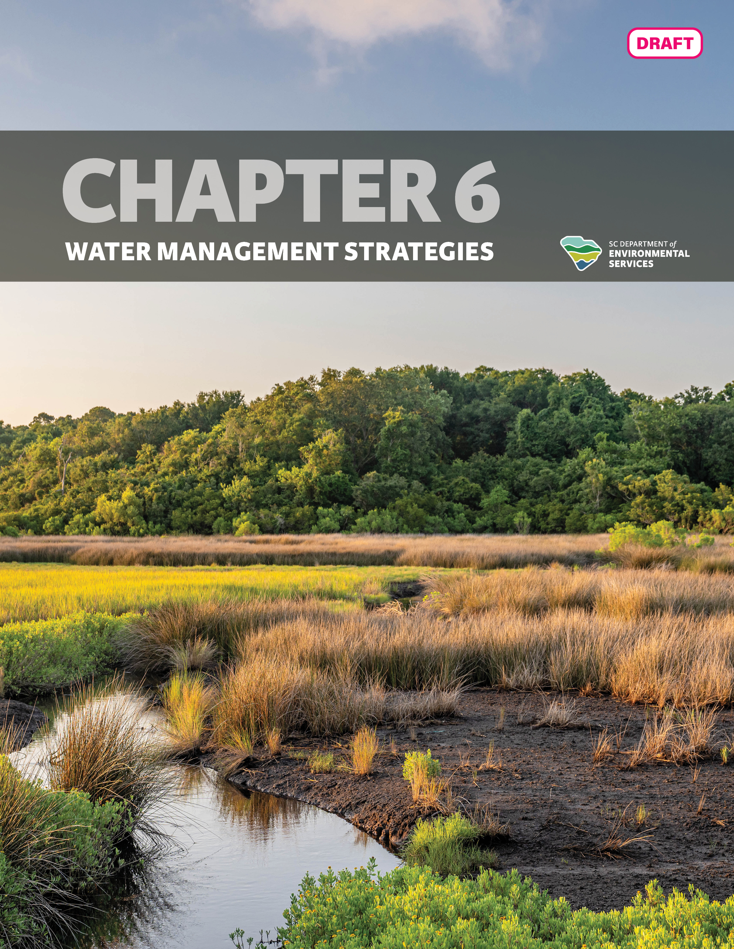 Draft document cover titled "Chapter 6: Water Management Strategies" of the State Water Plan, featuring a serene wetland landscape at sunrise.
