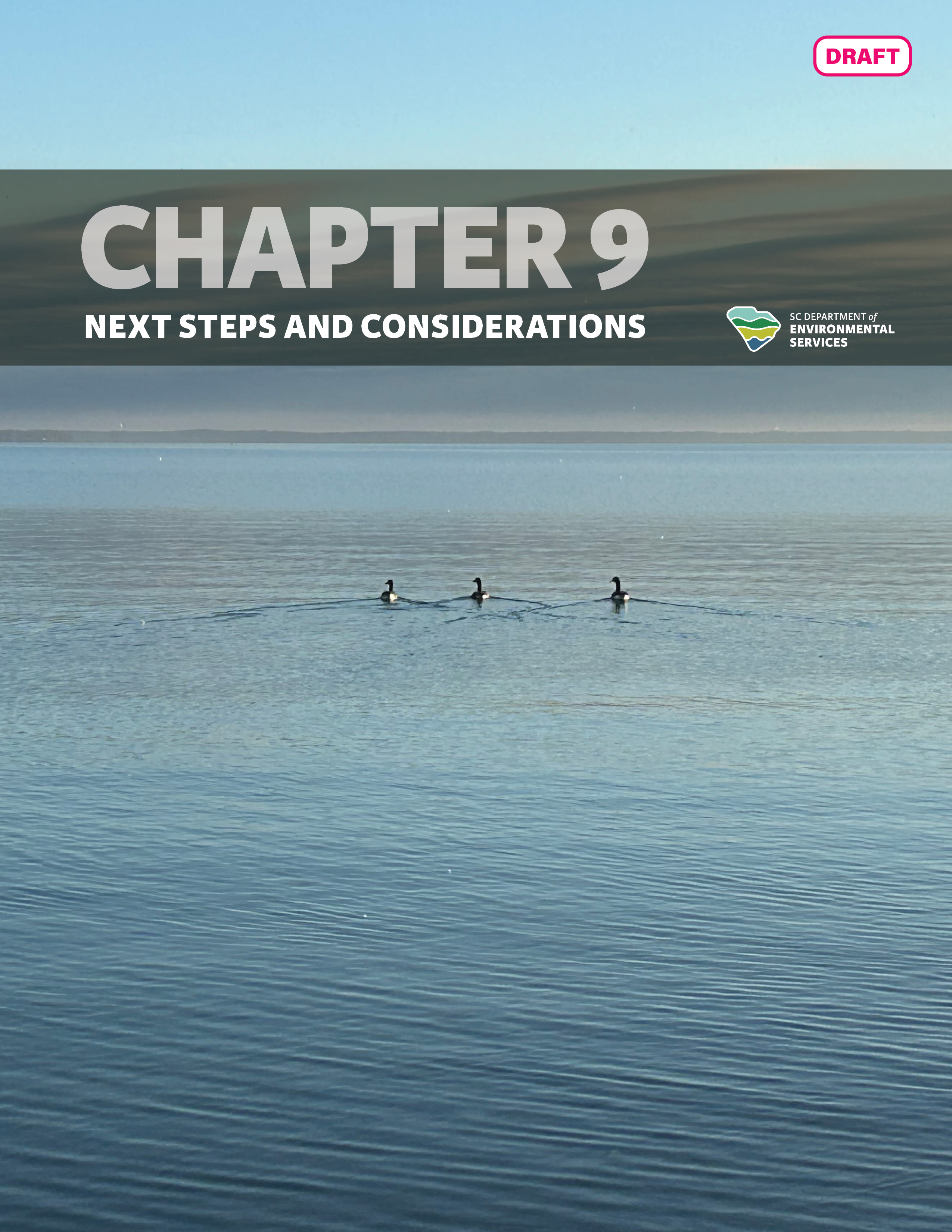 Draft document titled 'Chapter 9: Next Steps and Considerations' from, featuring an image of three birds standing in a body of water under a clear sky.