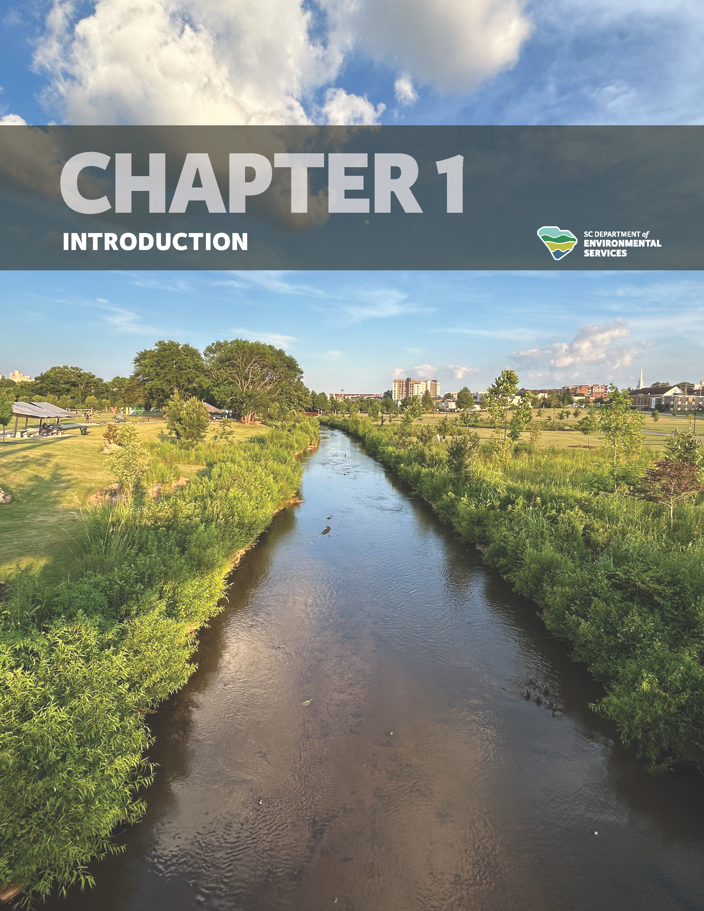 Draft cover page for "Chapter 1: Introduction" of the State Water Plan, featuring an aerial view of a serene river passing through a lush park with city buildings in the distance under a blue sky with scattered clouds.