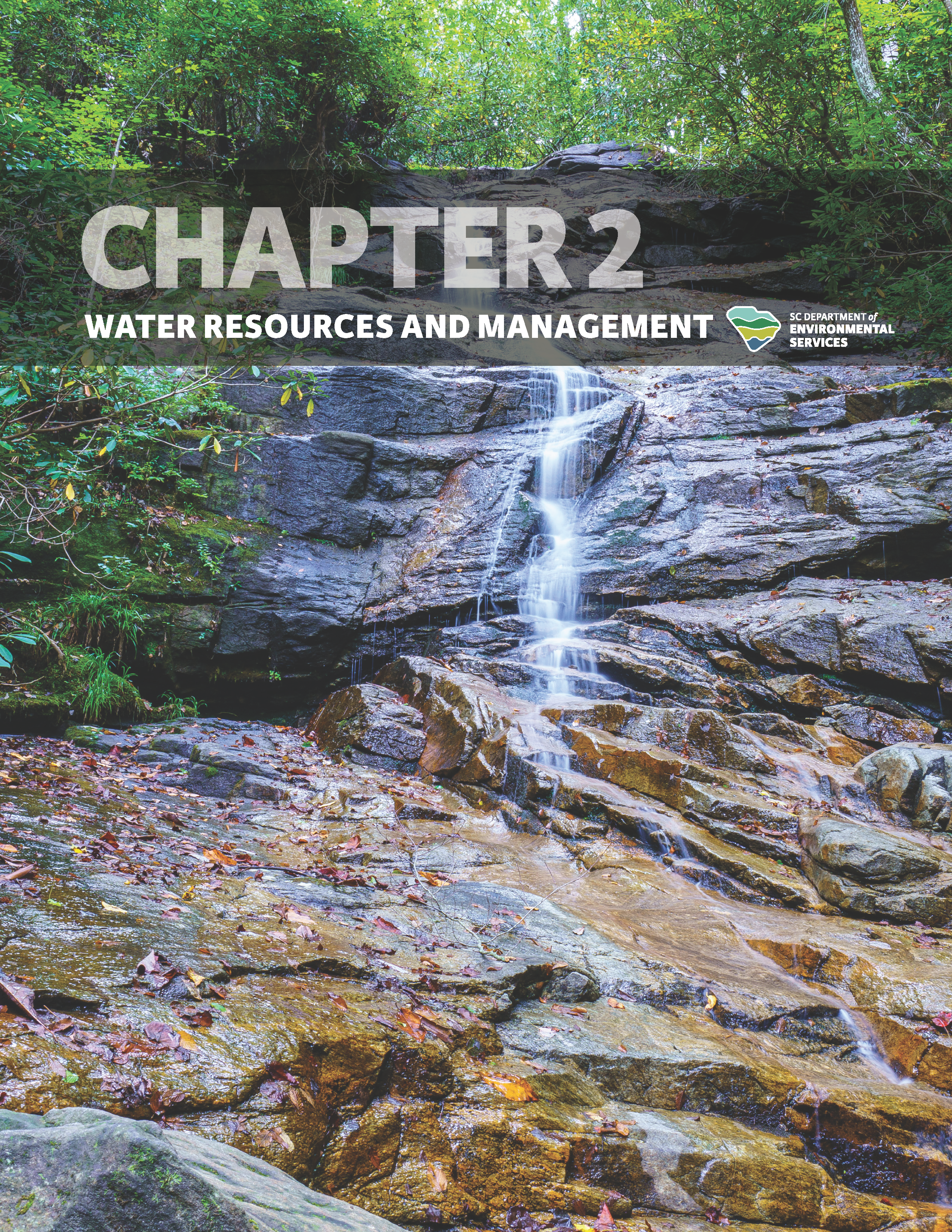 Draft cover of 'Chapter 2: Water Resources and Management' of the State Water Plan featuring a small waterfall flowing over rocky terrain surrounded by lush greenery.