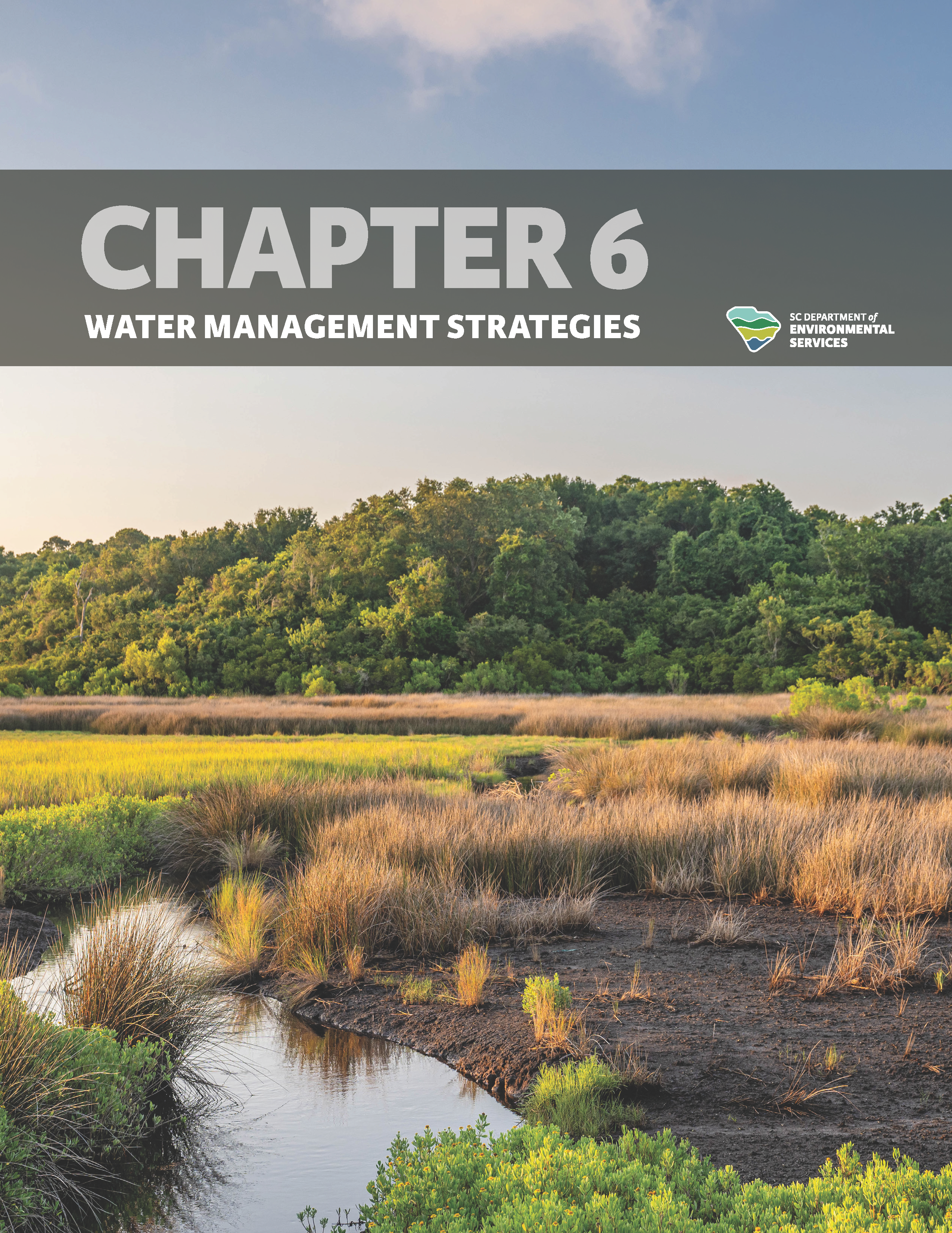 Draft document cover titled "Chapter 6: Water Management Strategies" of the State Water Plan, featuring a serene wetland landscape at sunrise.