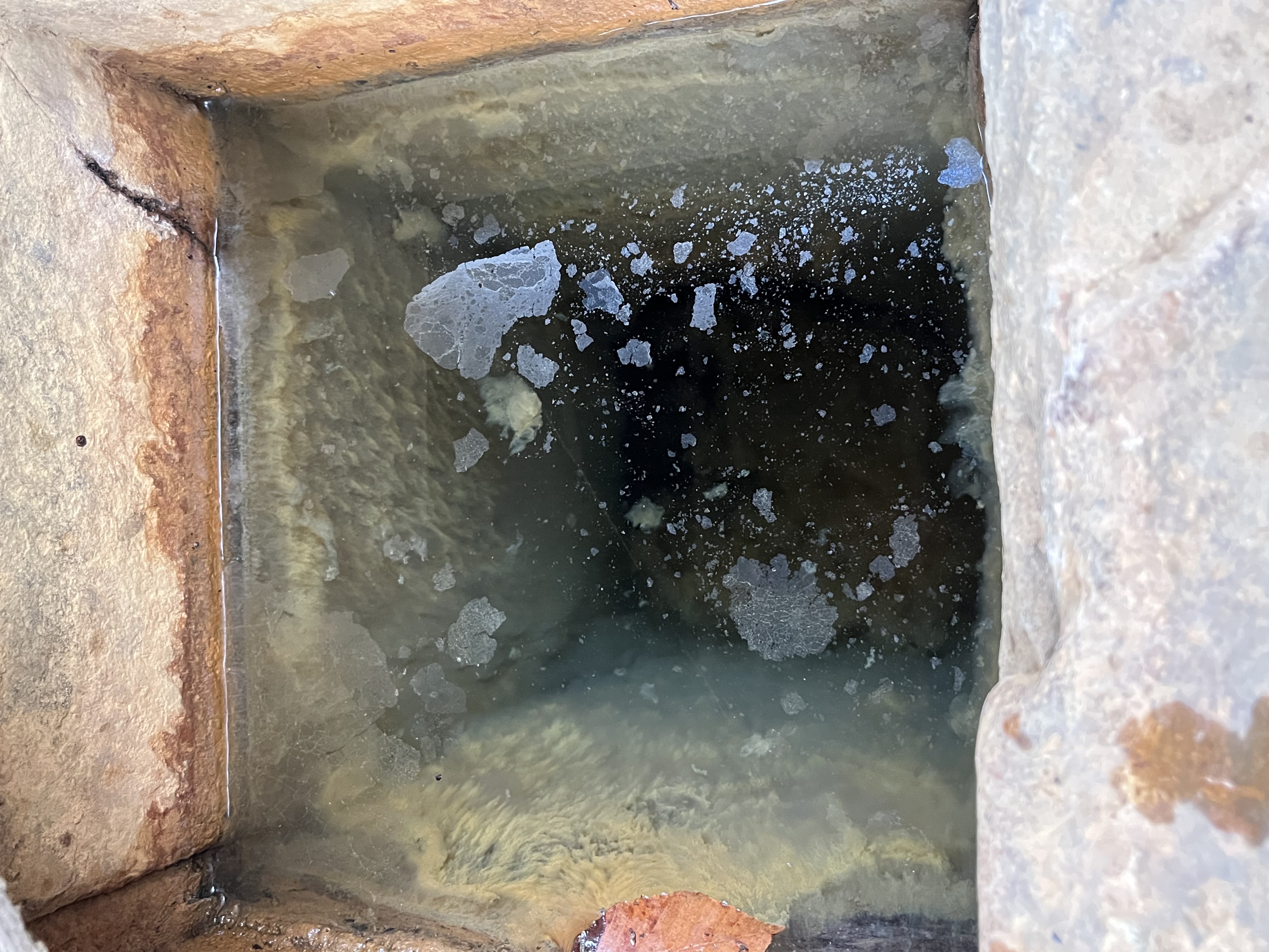 An overhead image looking into the square concrete shaft where the springhead rises to a static level