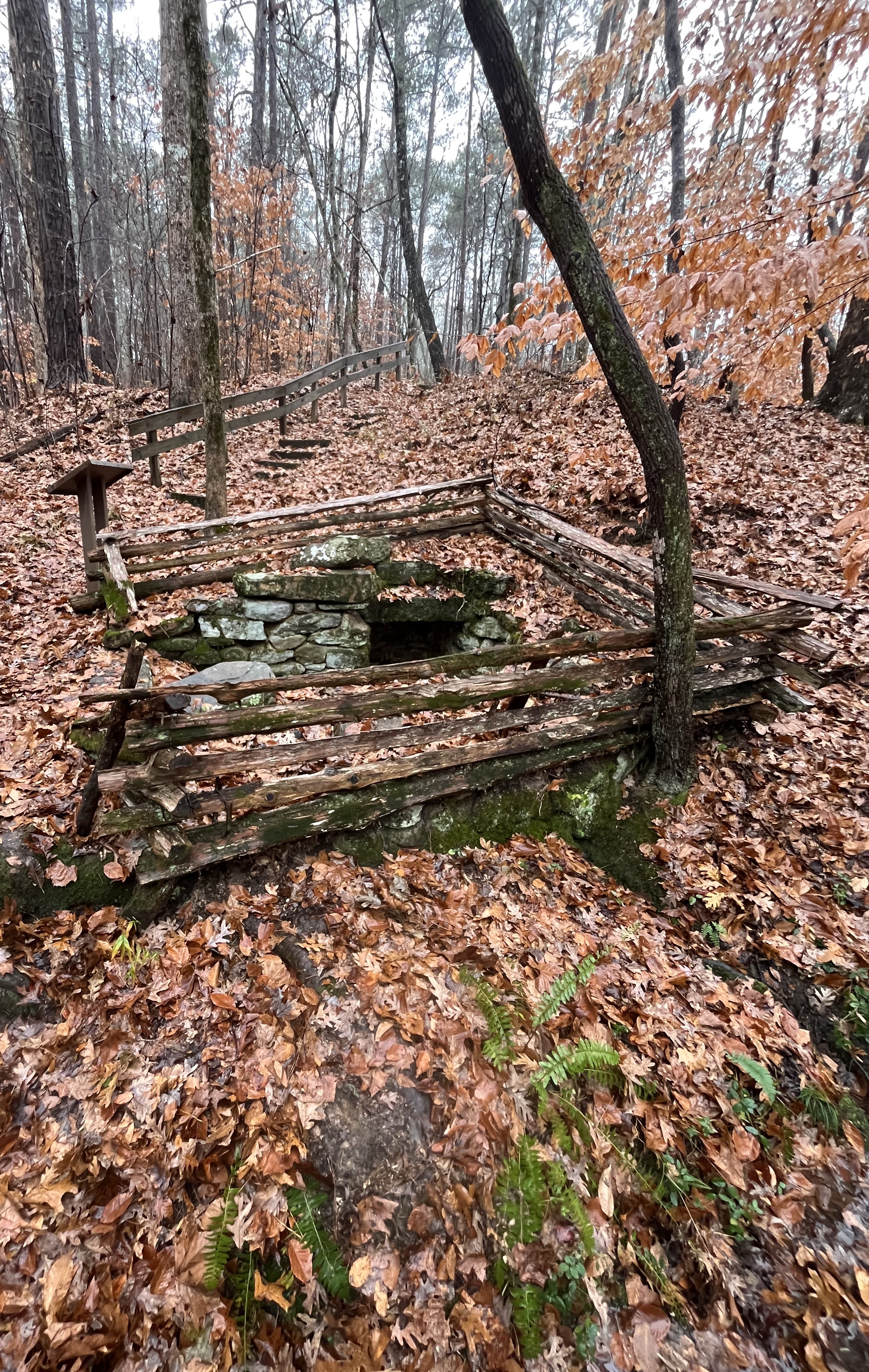 An image of a stone structure surrounded by fencing, trees, and leaves that are all covered in lichens