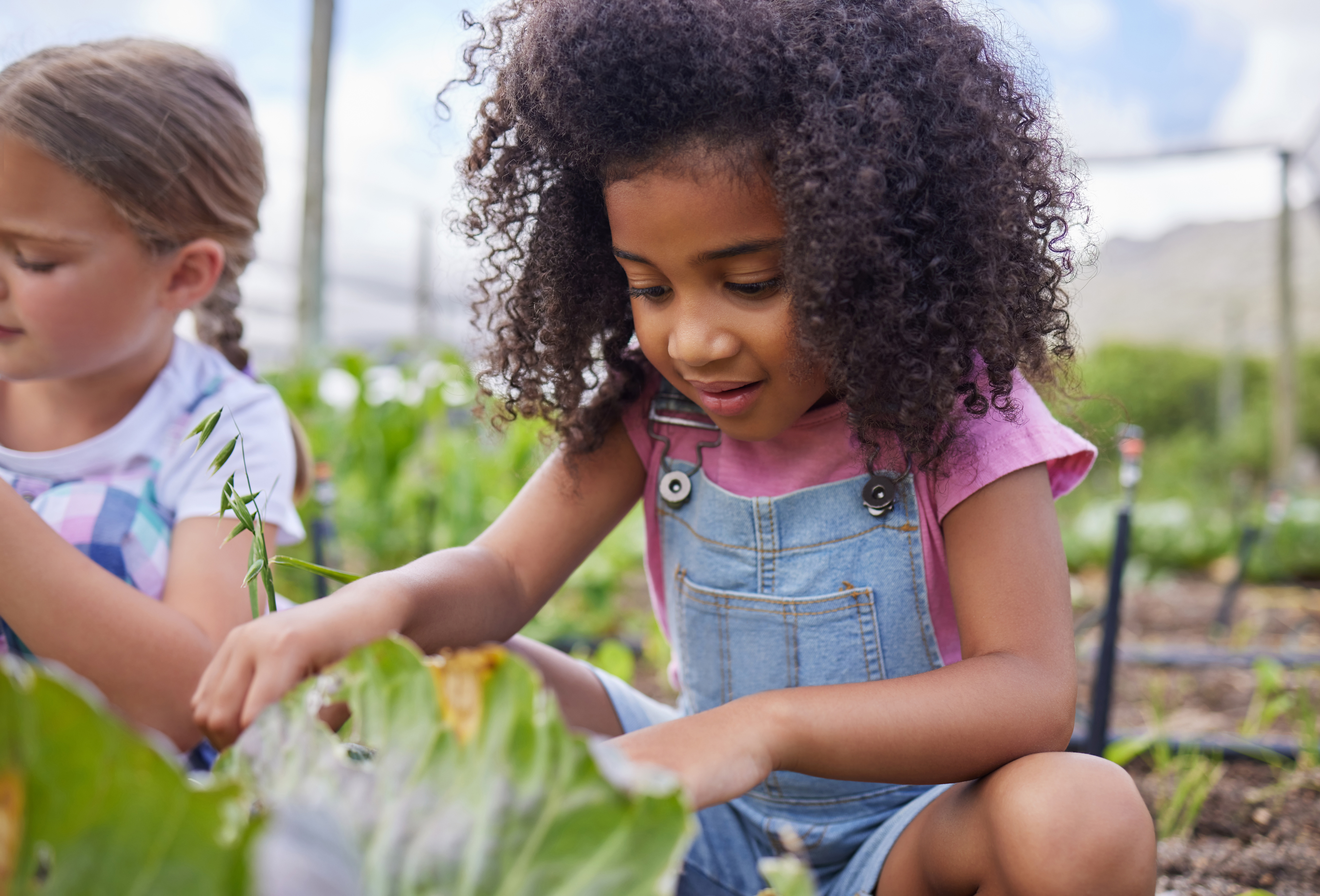Two children are sitting in a garden, closely examining plants while surrounded by green foliage.