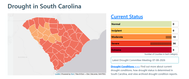Map of South Carolina showing county-level drought conditions, color‑coded from light orange to dark red. Most counties are in severe drought, with some in moderate drought. A status chart on the right lists drought categories with counts: 0 normal, 0 incipient, 10 moderate, 36 severe, and 0 extreme. Text below provides links to the latest drought committee meeting and additional drought condition information.