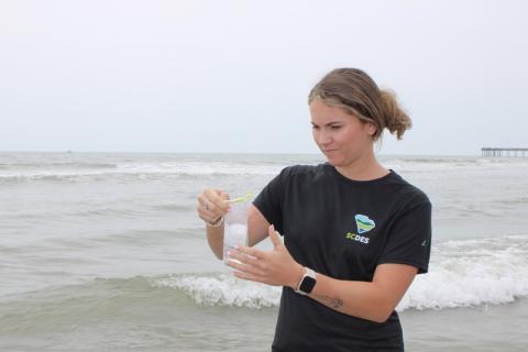 beach monitoring