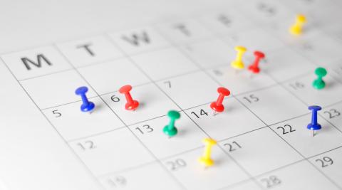 calendar with pins