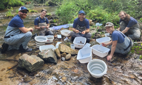 people in a stream with buckets collecting samples