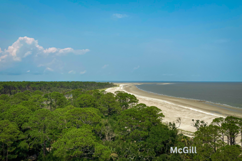 An overhead photo of a wooded coastline and white sand beach.