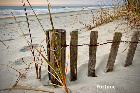 A photo of a partially buried sand fence on a white sand beach.