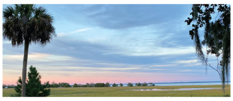A serene landscape featuring a vast marsh under a twilight sky with shades of pink and blue, accompanied by a palm tree on the left and hanging moss on the right.