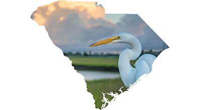 state of sc coastal