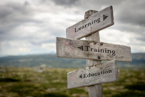 Learning, training and education text on wooden road sign outdoors in nature