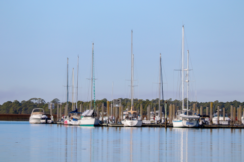 A photo of boats moored at a marina