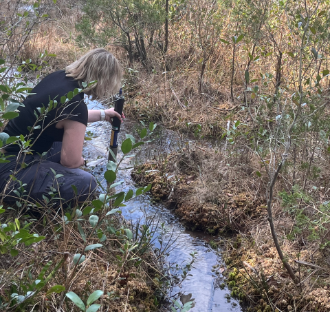 person sampling water in the woods