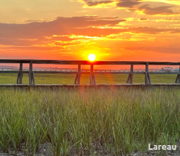 A photo of a bridge crossing a marsh at sunset.