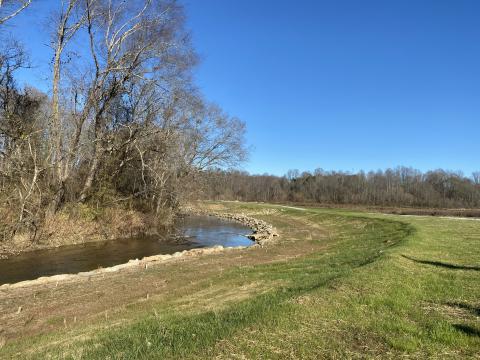 stream restoration site