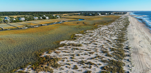 A drone shot of a beach