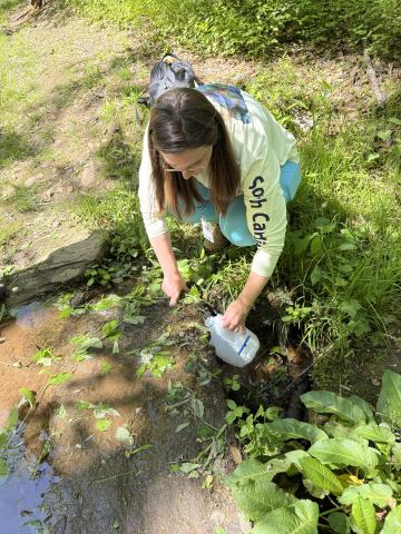 SpringSampling_ChatoogaTown