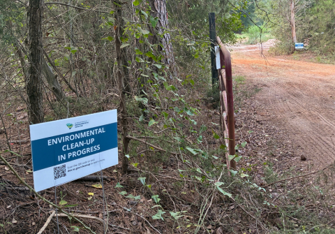 Sign reading ‘Environmental Clean‑Up in Progress’ posted beside a dirt road in a wooded area, with trees, vines and underbrush surrounding the path