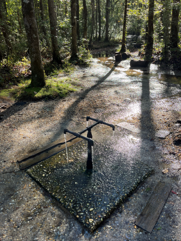 A broken pipe or irrigation fixture sprays water across a gravel and dirt path in a wooded area. Sunlight filters through tall trees, creating bright reflections on the wet ground. A small plank of wood lies near the flooded section of the path.